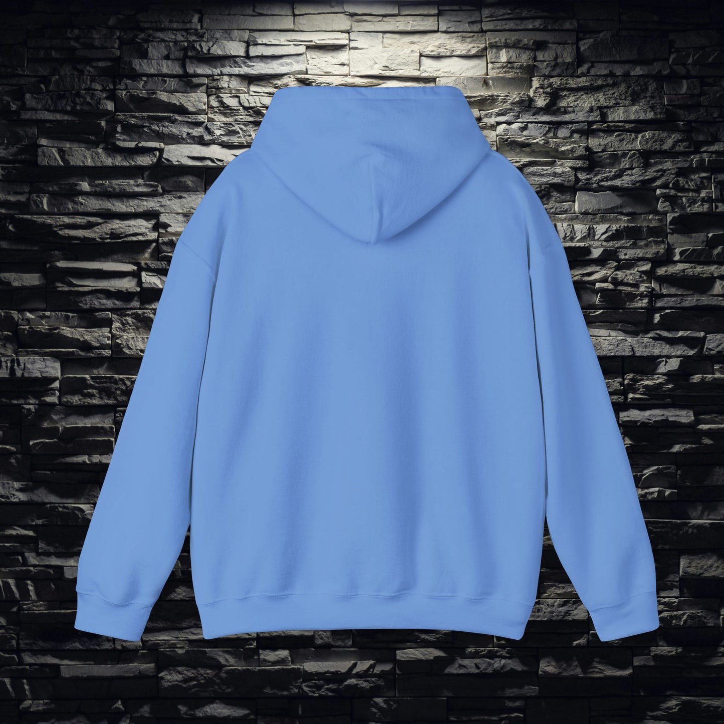 Jesus is King Hoodie